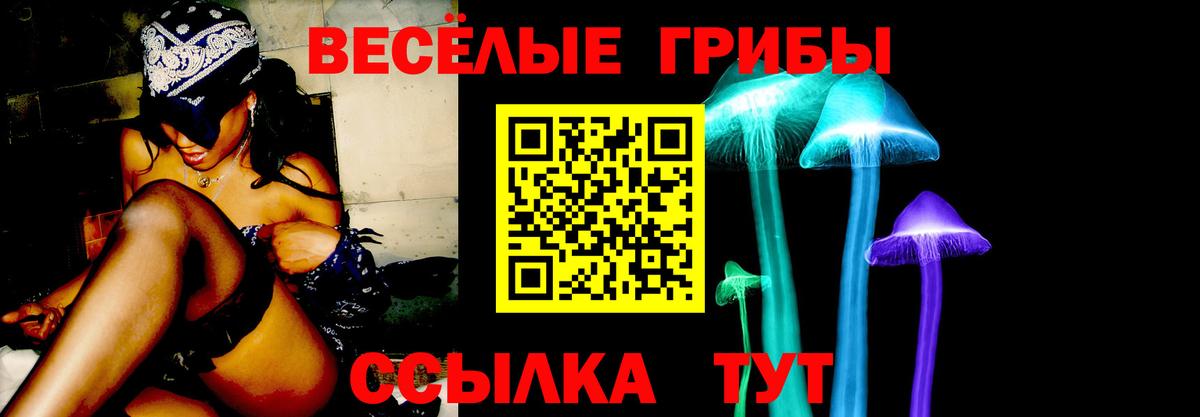 Псилоцибиновые грибы Psilocybine cubensis Отрадное